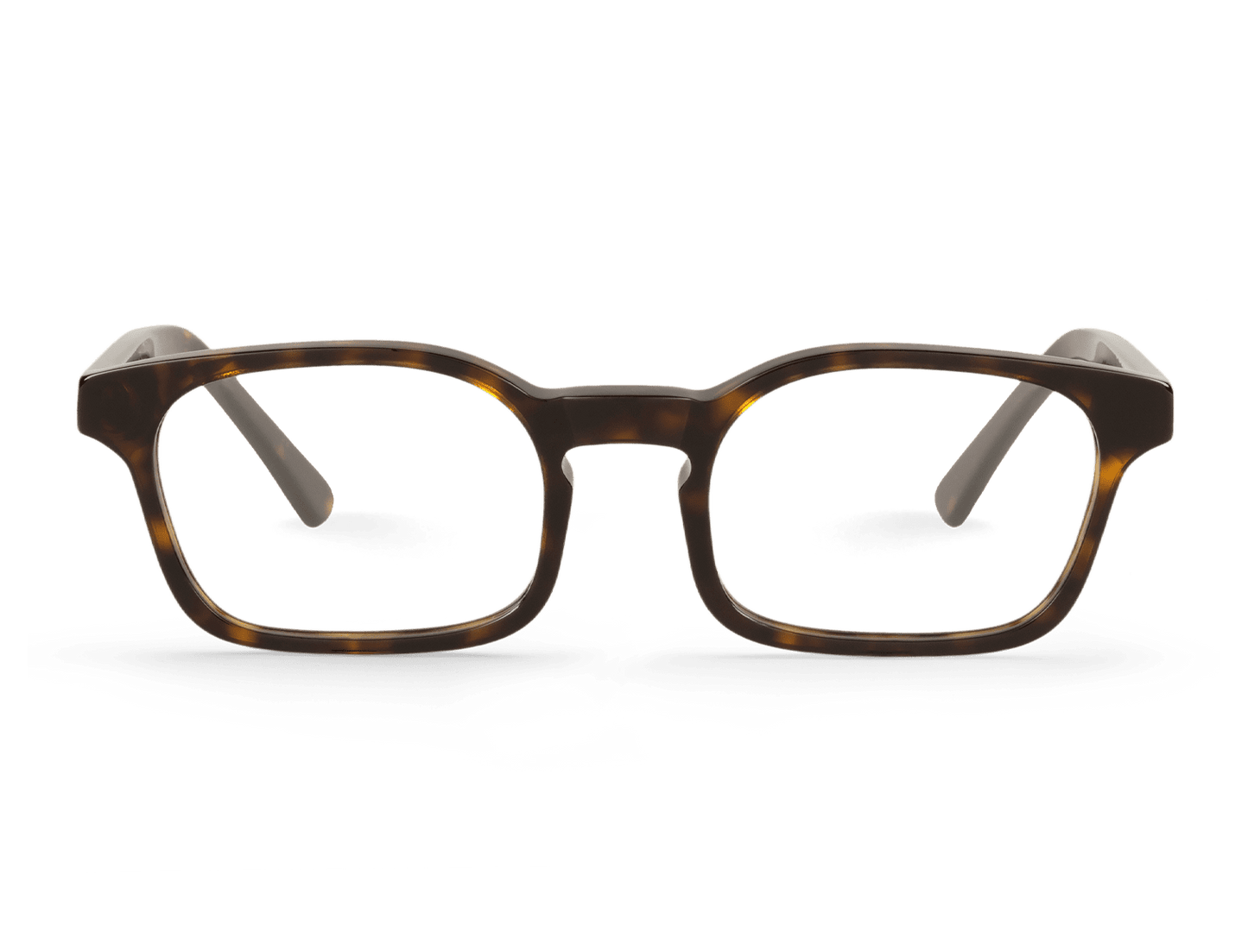 WALNUT - PALMER - ACETATE