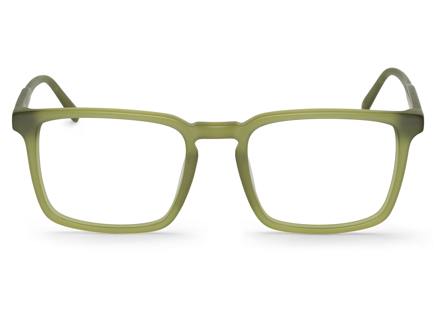 MATTE BASIL - BELCHER L