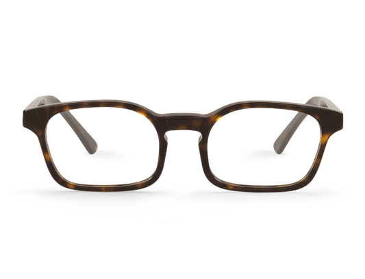 WALNUT - PALMER - ACETATE