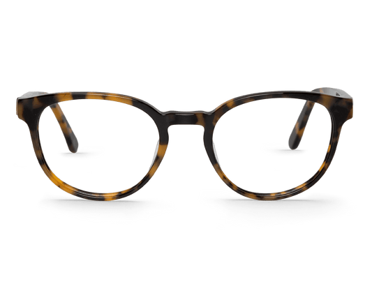 HC - TORTOISE - DAY - ACETATE