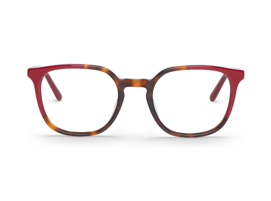 RUBY/WALNUT - THEODORE - ACETATE