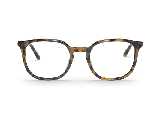 HC TORTOISE - THEODORE - ACETATE